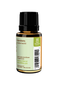 Cucumber Seed Oil