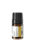 Orange Cream Essential Oil Blend - 5ml