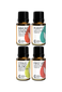 Blend Essential Kit