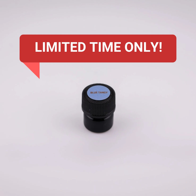 Blue Tansy Essential Oil