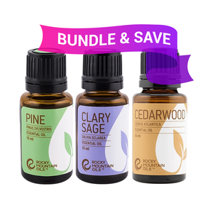 Study Buddy Bundle