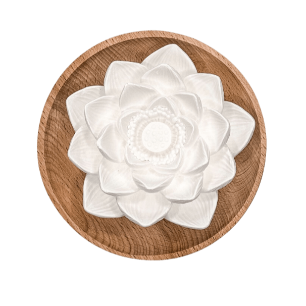 Ceramic Flower Diffusers