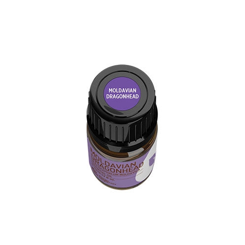 Moldavian Dragonhead Essential Oil