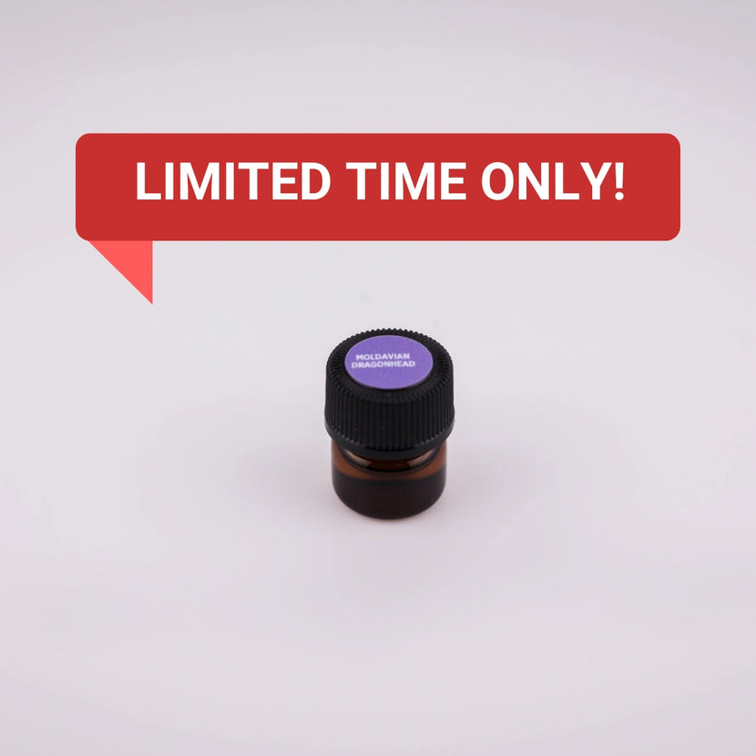 Moldavian Dragonhead Essential Oil