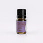 Moldavian Dragonhead Essential Oil