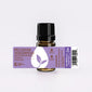 Moldavian Dragonhead Essential Oil