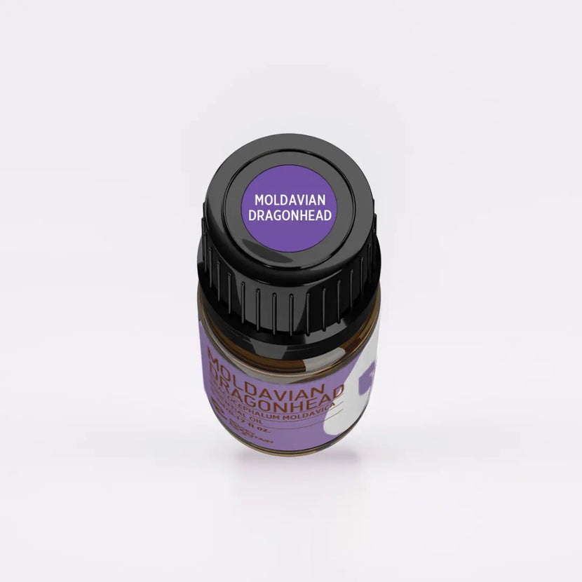 Moldavian Dragonhead Essential Oil