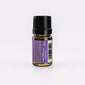 Moldavian Dragonhead Essential Oil
