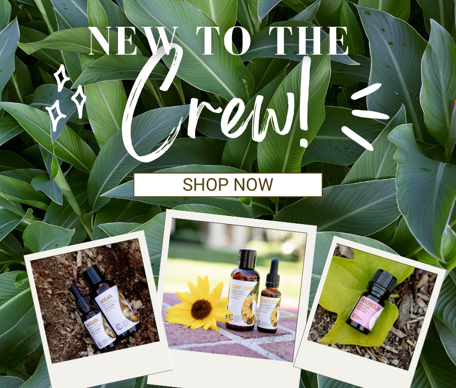 New Launch