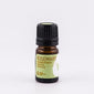 Rosemary Essential Oil