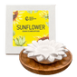 Ceramic Flower Diffusers