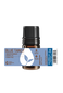 Blue Tansy Essential Oil