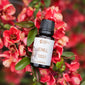 Chill Essential Oil Blend