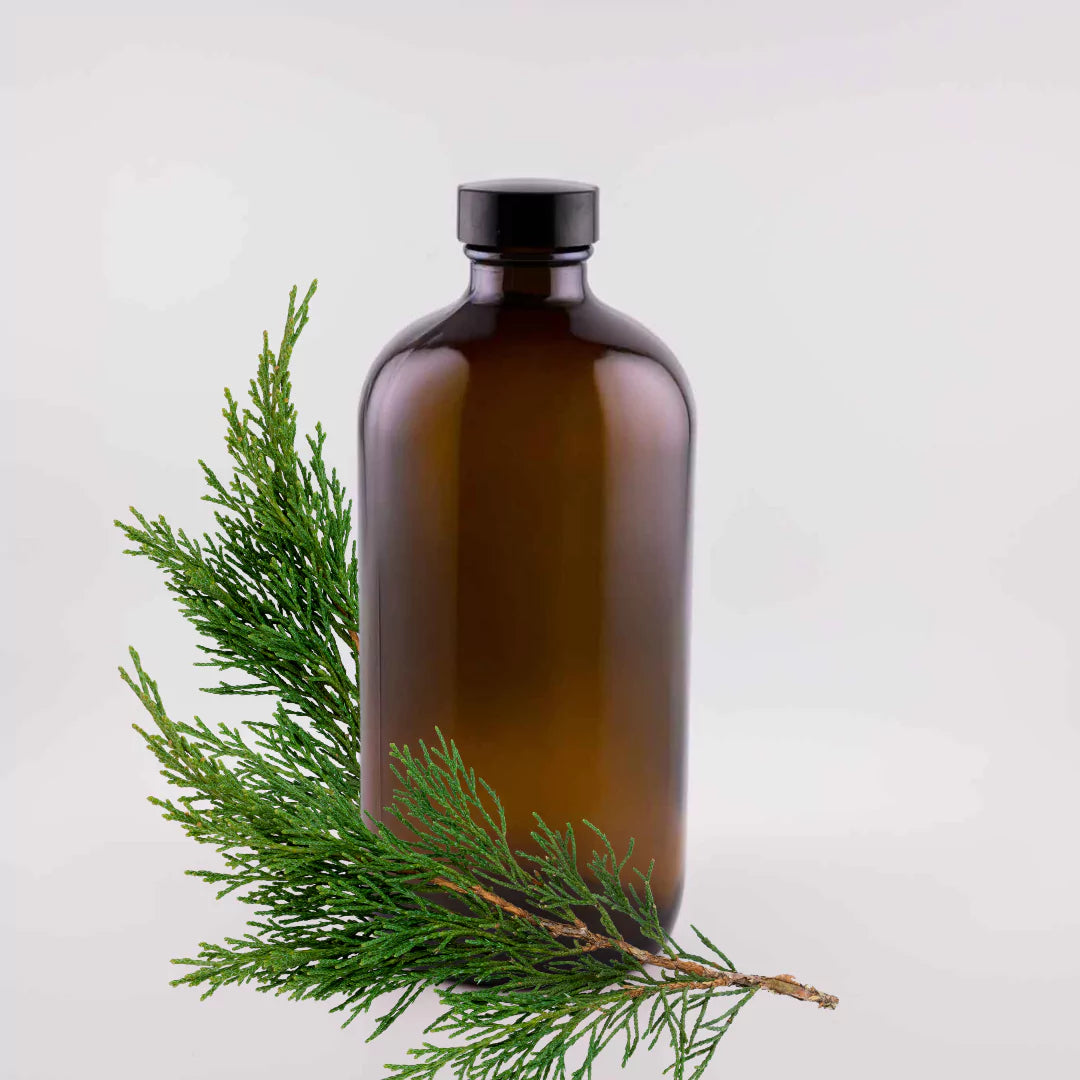 Cypress Essential Oil, 16oz Amber Glass Bottle