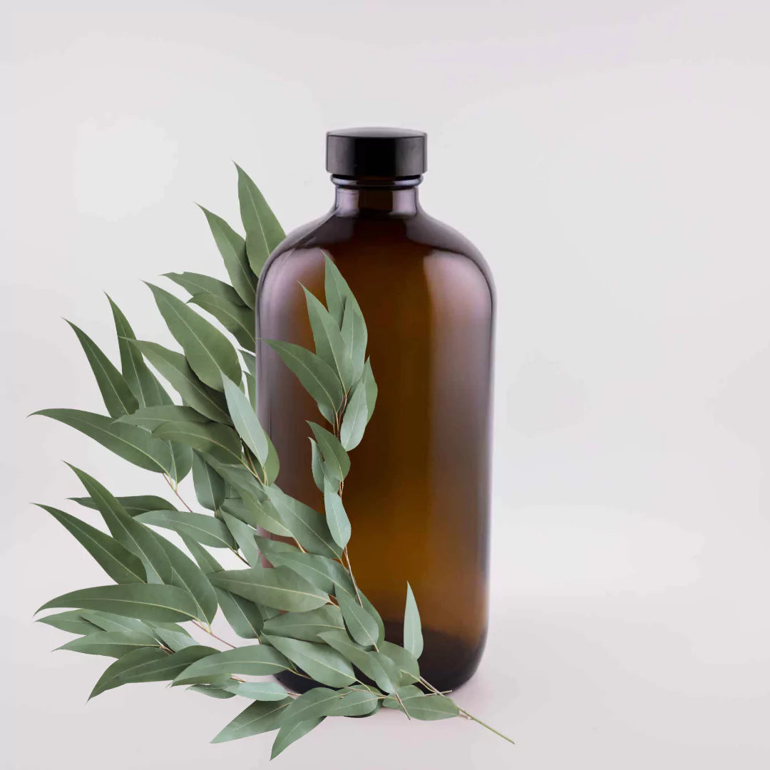 Eucalyptus Radiata Essential Oil, 16oz Amber Glass Bottle