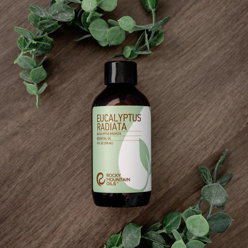Eucalyptus Radiata Essential Oil