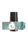 Helichrysum italicum Essential Oil