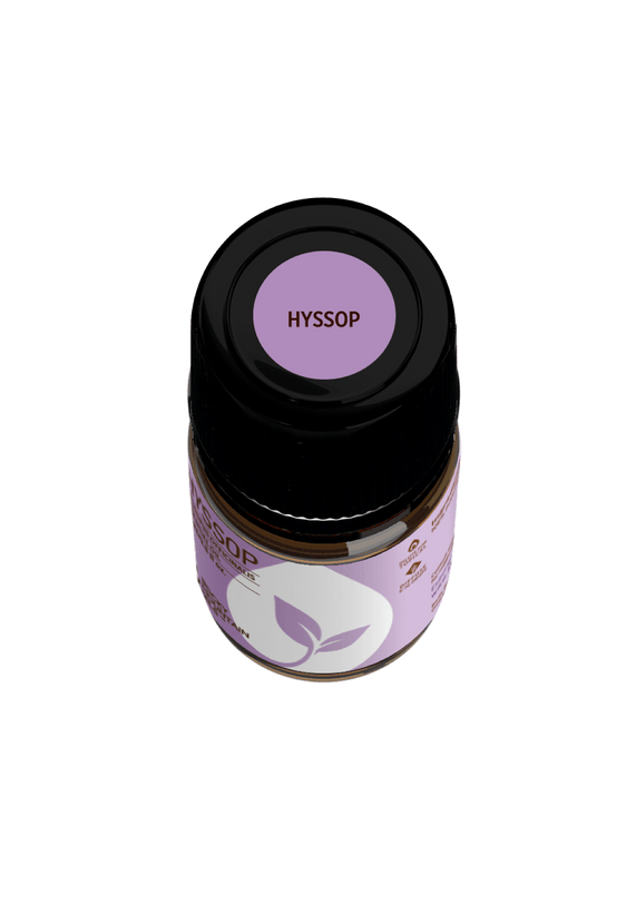 Hyssop Essential Oil