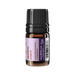 Lavender Essential Oil