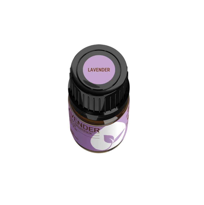 Lavender Essential Oil