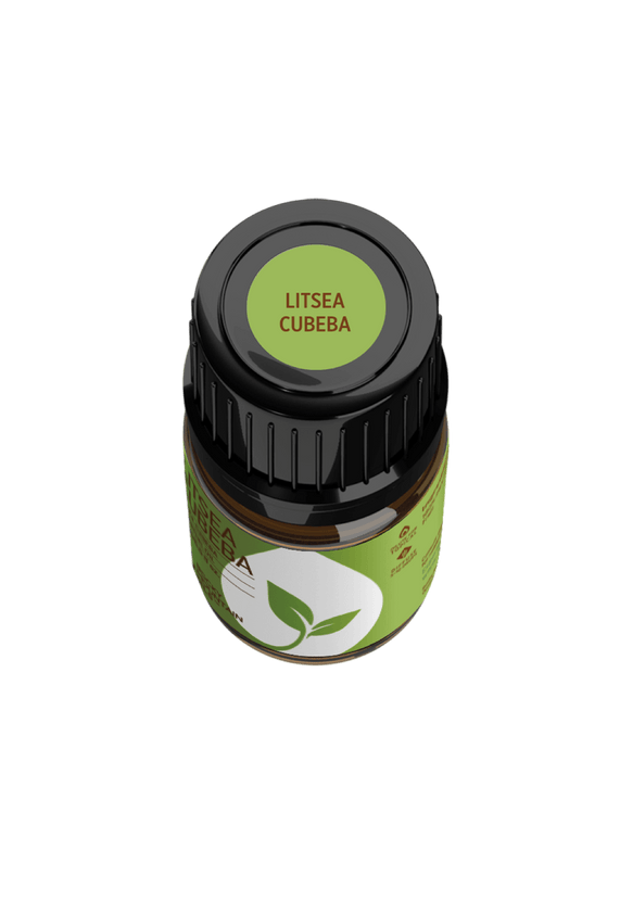 Litsea Cubeba Essential Oil