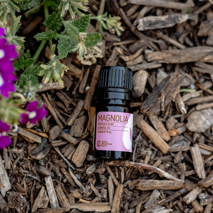 Magnolia Essential Oil
