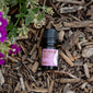 Magnolia Essential Oil