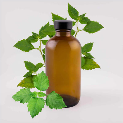 Patchouli - 8oz