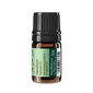 Peppermint Essential Oil