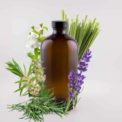Purify Blend - 16oz