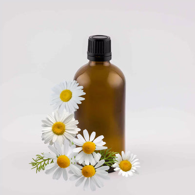 Roman Chamomile - 4oz