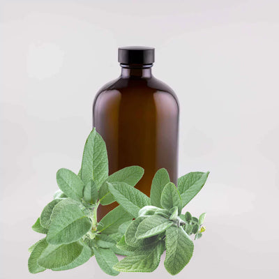 Sage - 16oz
