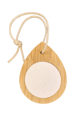 Aromatherapy Hanging Car Diffuser