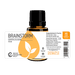 Brainstorm Essential Oil Blend