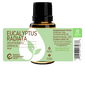 Eucalyptus Radiata Essential Oil