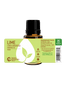 Lime Essential Oil