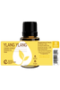 Ylang Ylang Essential Oil