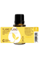 Ylang Ylang Essential Oil