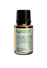 Organic Eucalyptus Essential Oil