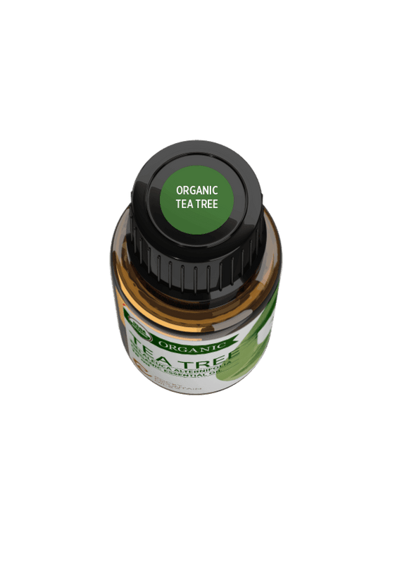Organic Tea Tree Essential Oil