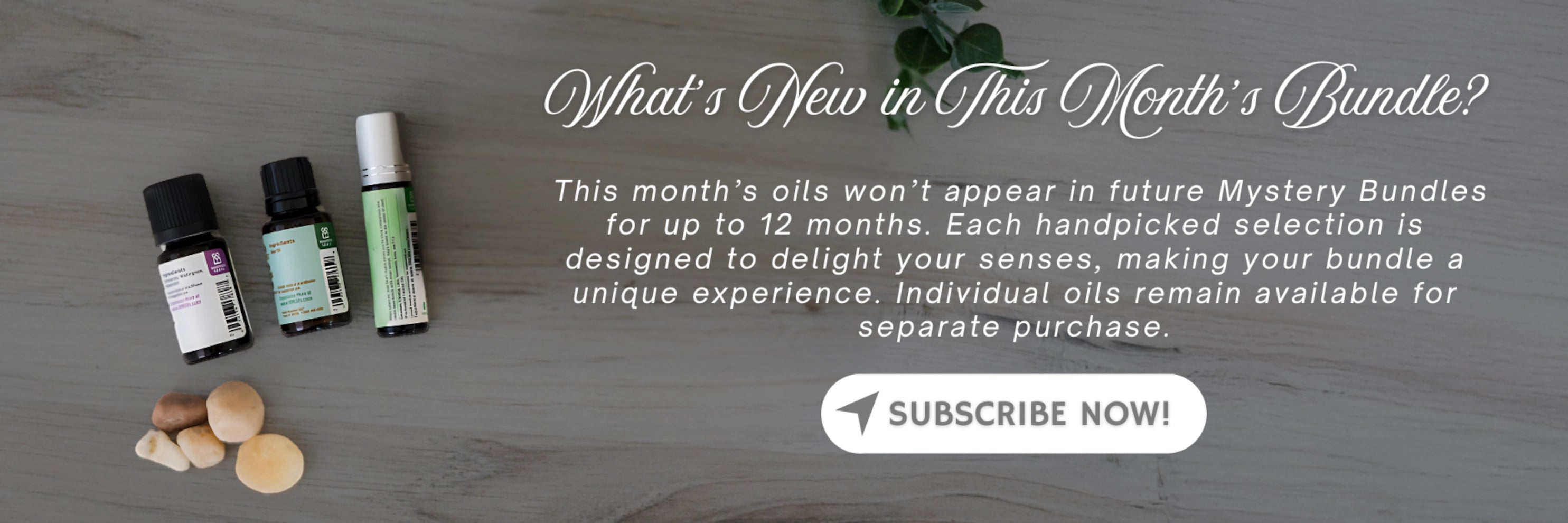 Subscribe Now